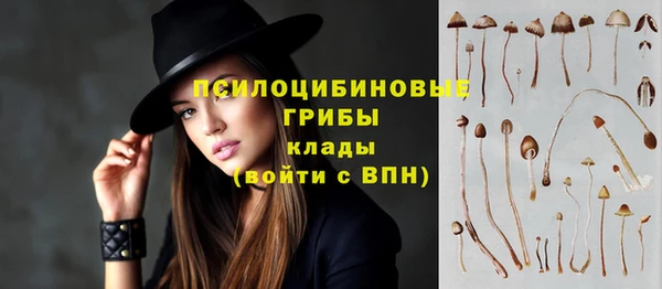 стафф Кукмор