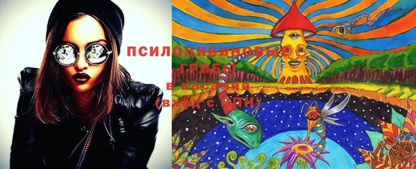стафф Кукмор