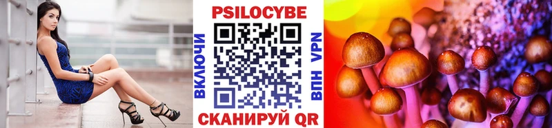 даркнет Telegram  Тихвин  Галлюциногенные грибы мицелий 