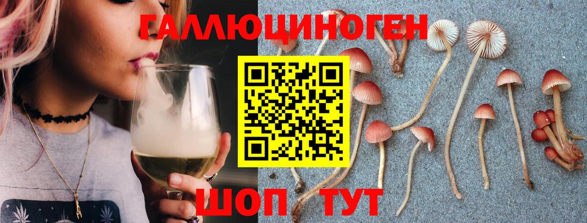Псилоцибиновые грибы ЛСД  Вход с VPN  Псилоцибиновые грибы Magic Shrooms  Тихвин 