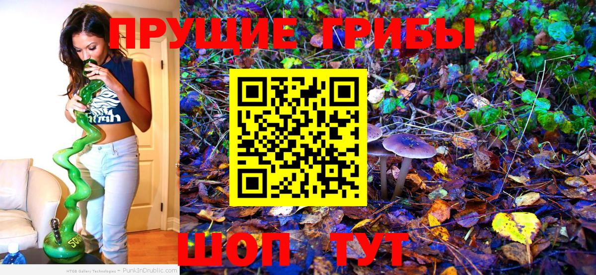Галлюциногенные грибы мухоморы Тихвин